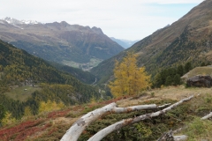 ILCE-6500-2019-10-13-11-37-56