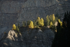 ILCE-6500-2019-10-13-15-11-58