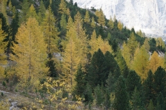 ILCE-6500-2019-10-14-09-07-46
