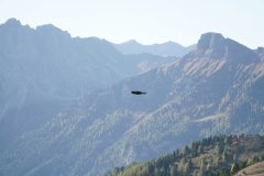 ILCE-6500-2019-10-14-09-27-52-2