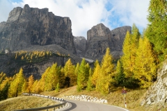 ILCE-6500-2019-10-15-08-09-20