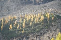 ILCE-6500-2019-10-15-08-09-28