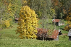 ILCE-6500-2019-10-15-14-22-34