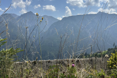 iPhone-14-Pro_2025-08-12-14-11-57