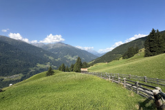 IMG_7529