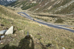 IMG_2448