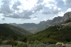 DSC07854_1