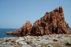 DSC07869