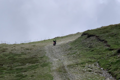 IMG_3254