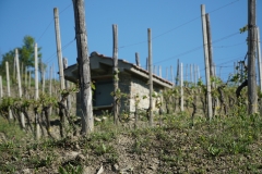 ILCE-6500-2019-05-10-08-26-28