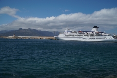 ILCE-6500-2019-05-14-13-26-10