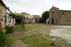 ILCE-6500-2019-05-15-08-59-48