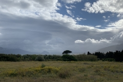 iPhone-XS-2019-05-13-18-06-14